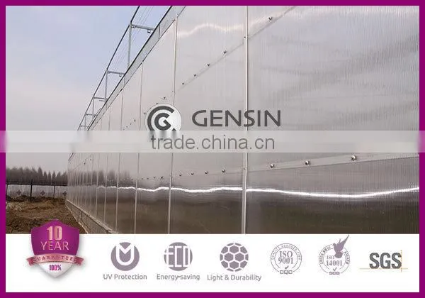 Widely used crystal two wall 8mm polycarbonate sheet