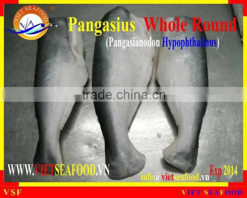 FROZEN W/R PANGASIUS