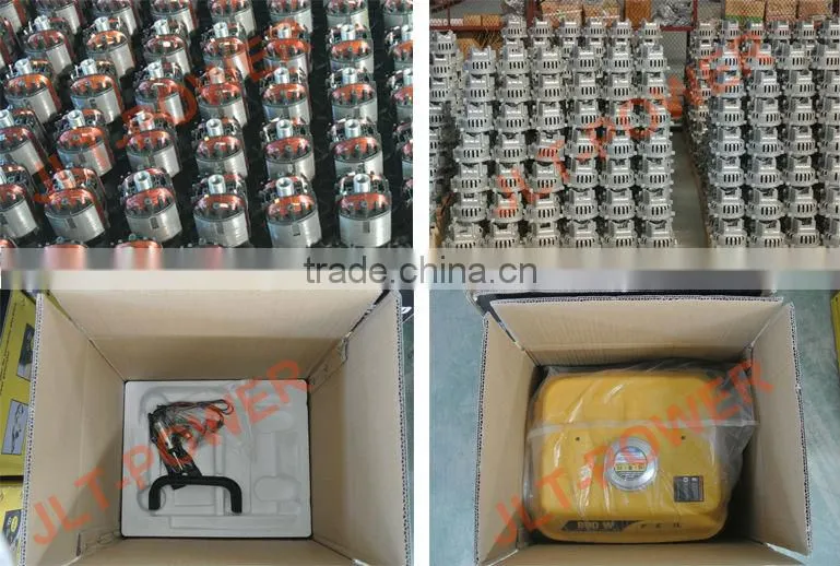Petrol Generator 950W