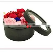 Office and School Stationery Holder