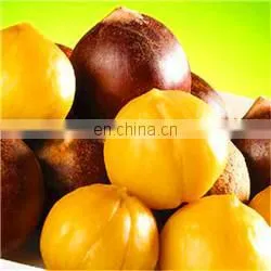 full automatic WALNU/LONGEVITY FRUITS oil/fat/grease extractor