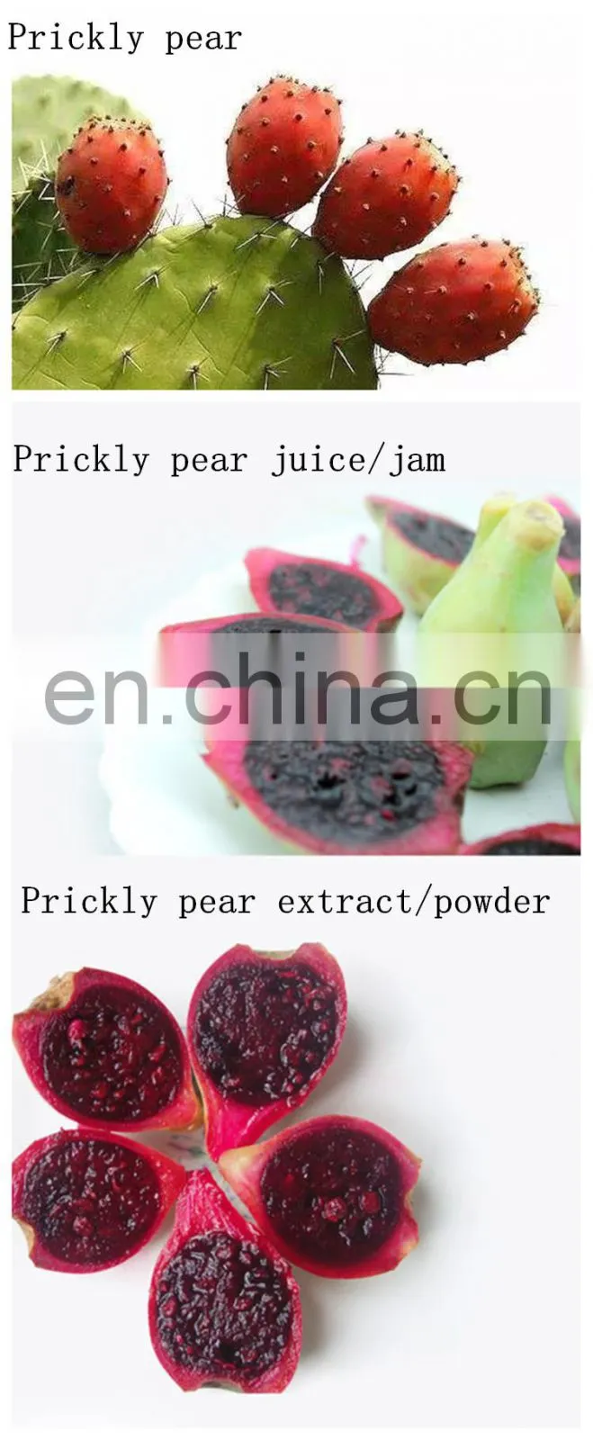 Factory high efficiency Tomato paste ketchup production plant Chill sauce making machine Fruit prickly pear jam processing line