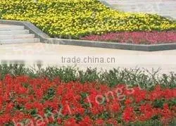 Plastic flower pots and planters