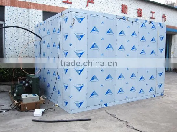 High quality custom size cold room panel with cam lock