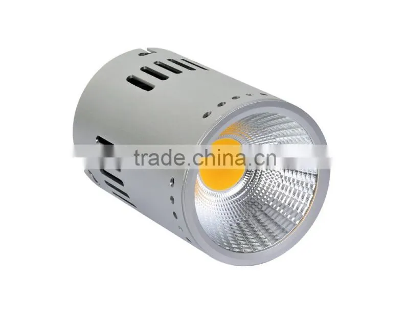 50W surface mounted LED downlight with CE/RoHS/SASO/SAA/GS certificate