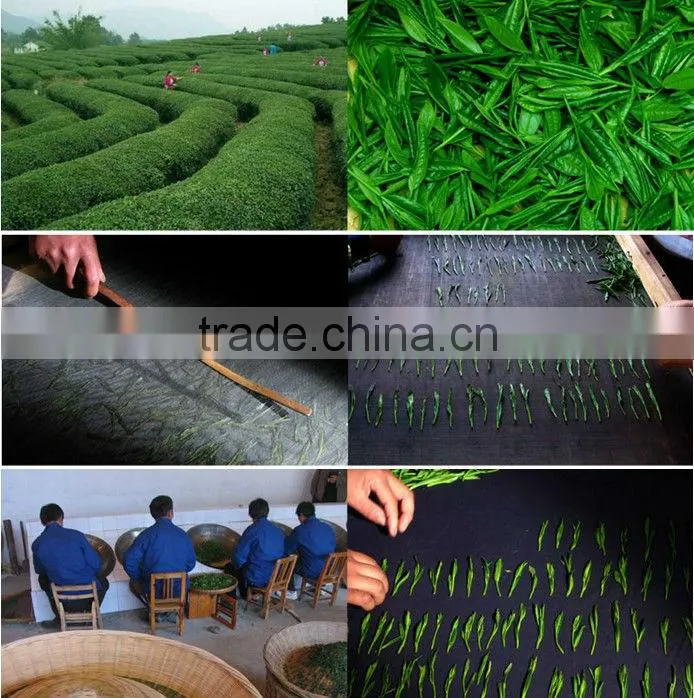 Tai Ping Hou Kui Organic Green Tea
