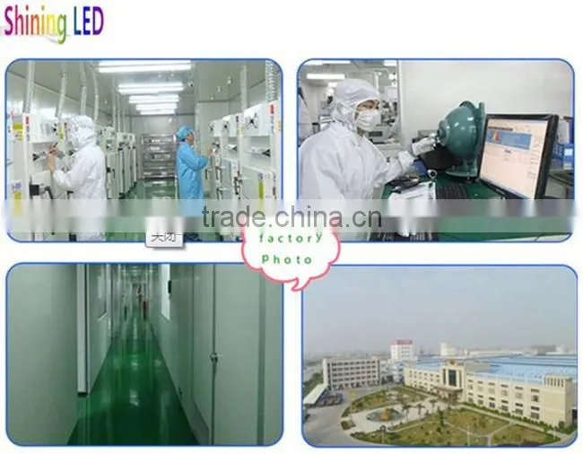 Withour Driver Epistar / Bridgelux Chip AC 110V/ 220V COB LED Diode 100W for LED Floodlight
