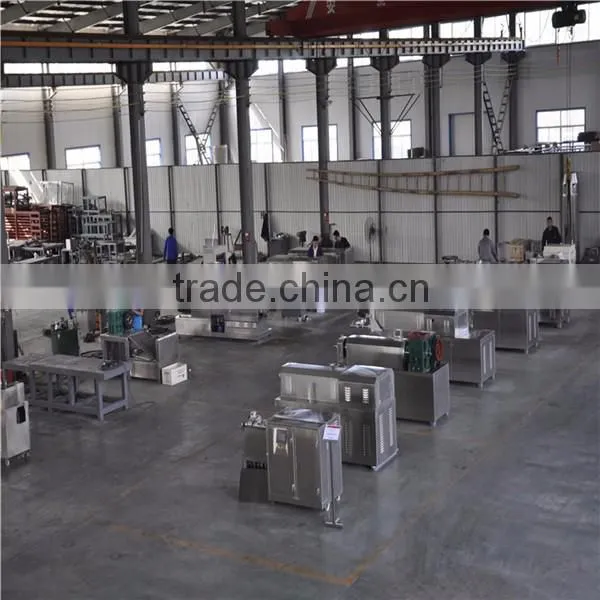 hot selling pasta machine factory