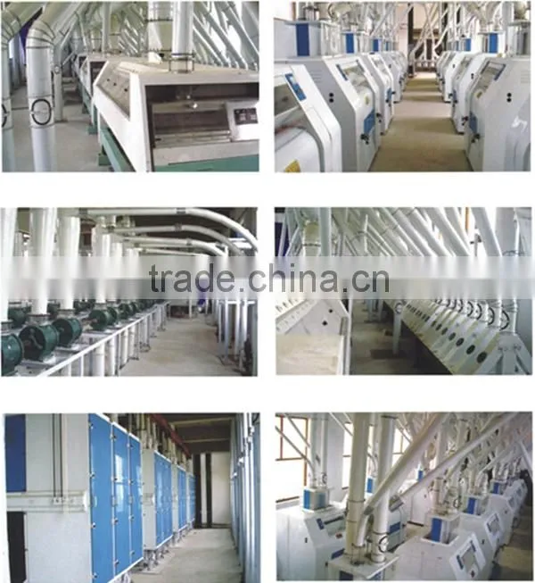 Low price high quality corn /wheat flour mill machinery