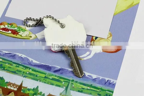 2013 the cat named Mary silicone key cover