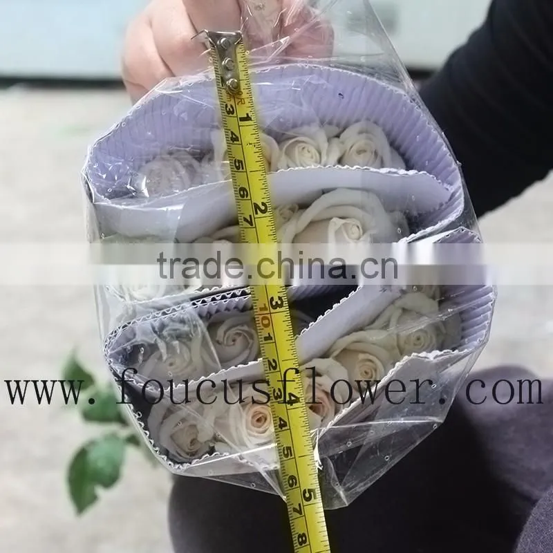 Alibaba China Hot Sale Rose Cut Vendela Fresh Roses Cut Flowers From China