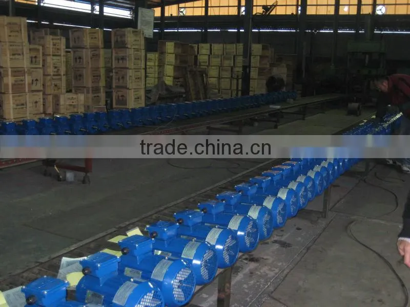 Y2 series 3 phase electrical motor