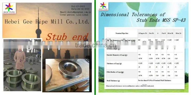 Pipe Accessories Butt Weld Carbon Steel Stub Ends