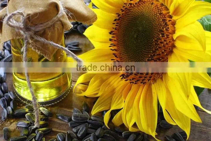 Sunflower Oil Extraction Machine