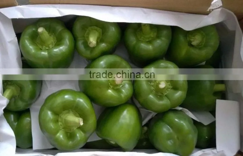 FRESH SWEET BELL PEPPER