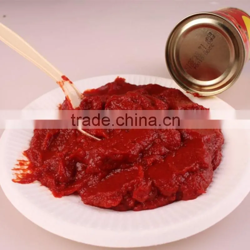 400g Canned Tomato Paste tomato paste brands