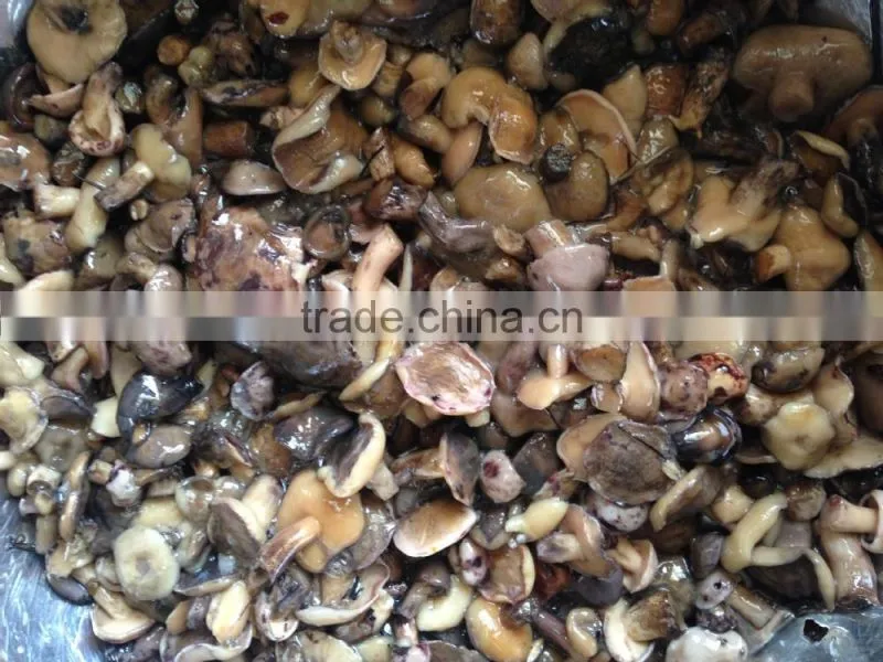 Suillus granulatus mushrooms in brine