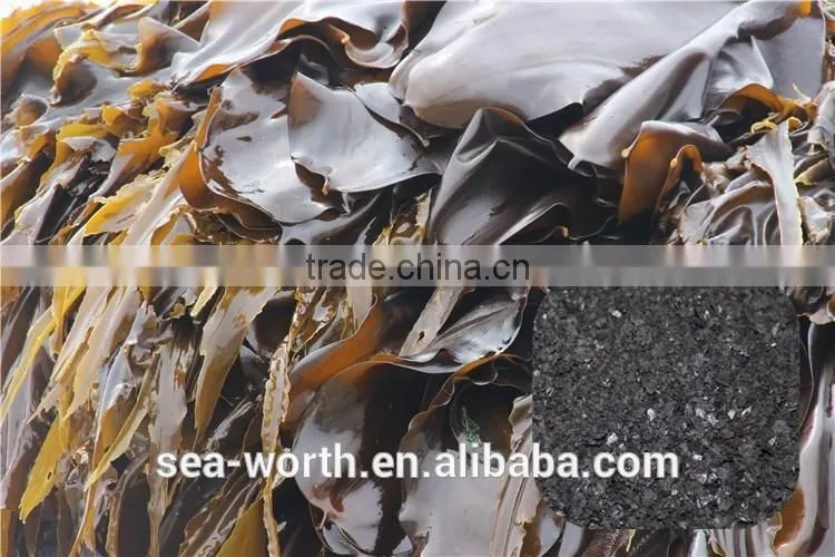 Economic npk compound fertilizer with competitive price