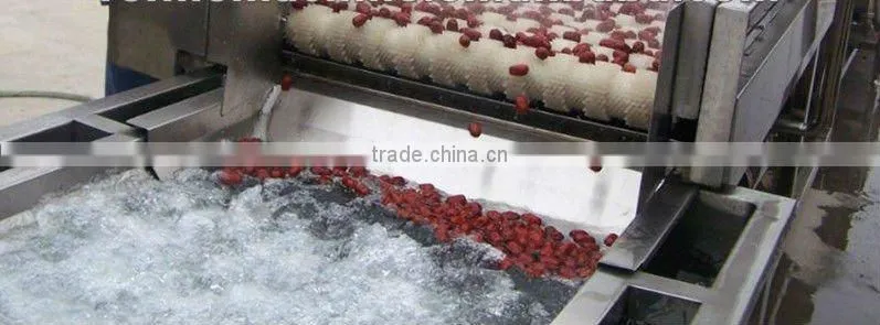dates/ jujube production line