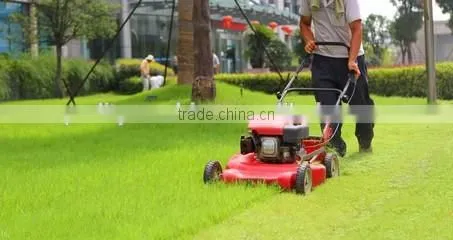 Lawn mower