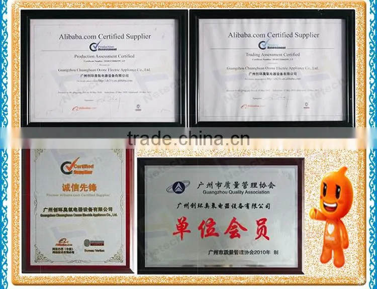 2G - 6G Portable Ceramic Ozone Tap Equipment / high working rate