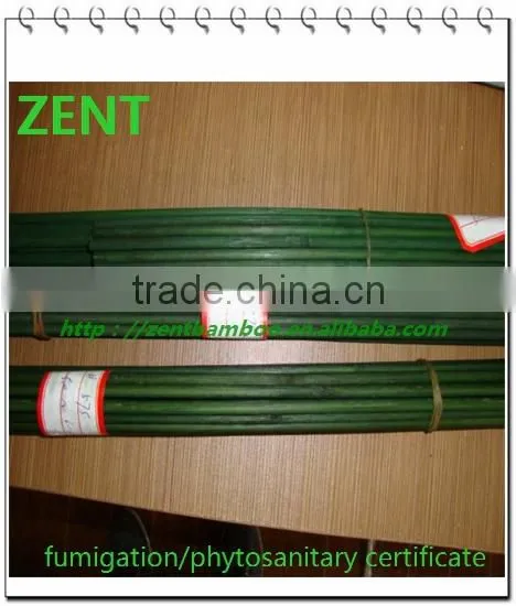 ZENT-13 supporting bamboo flower stick/natural bamboo flower sticks