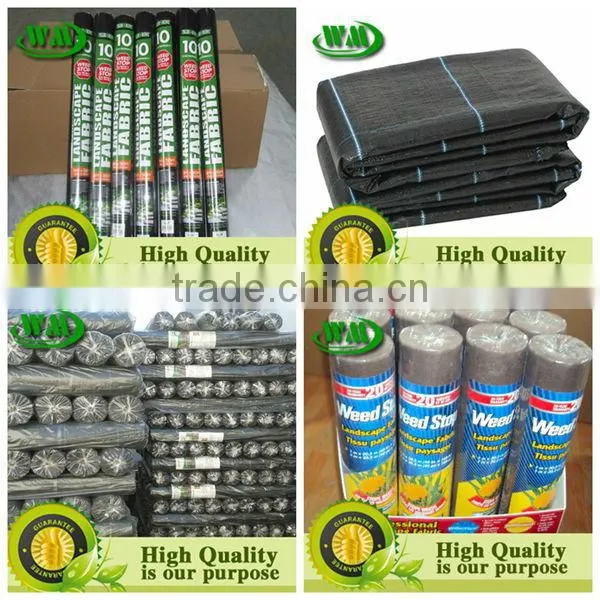 black and green line pe weedmat