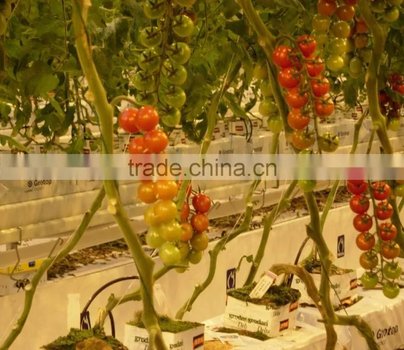 High Quality PP Plastic Twine