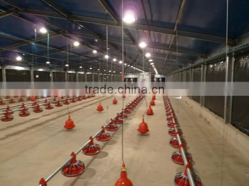 2625 m2 steel structure chicken house in Ukraine