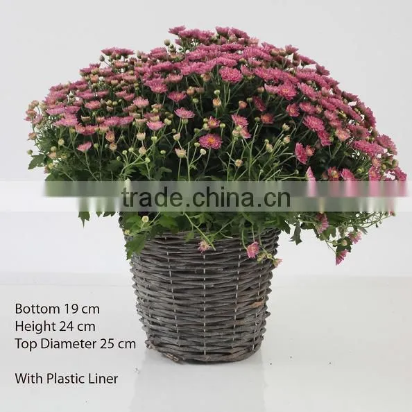 Hot Selling Gift Basket Decorations,Gift Basket Supplies