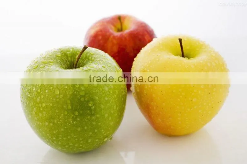 Manual zinc alloy Apple Peeler