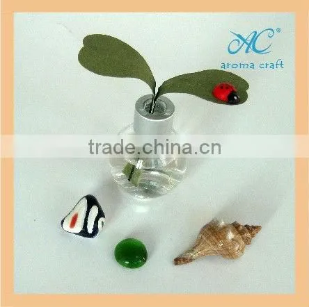30ML Nice design and decorative factory direct sale wholesale aromatherapy diffusers