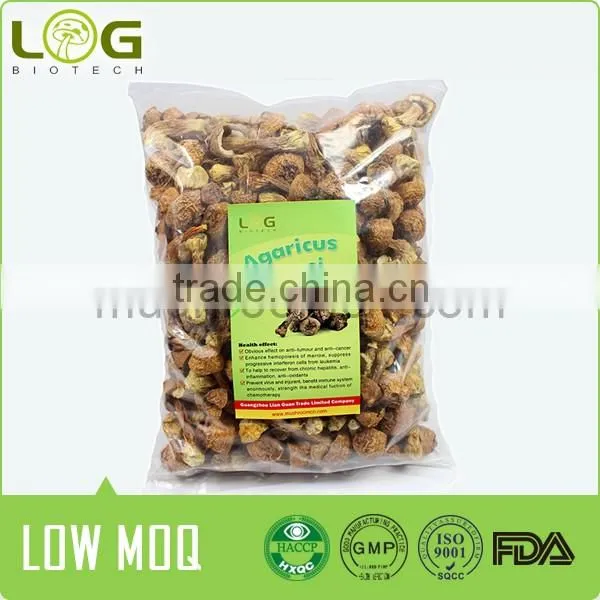 Agaricus blazei medical mushroom