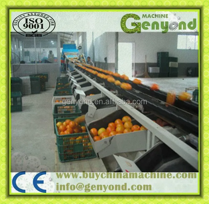 Citrus Waxing Machine Fruit Washing and Waxing Machine Fruit Waxing Machine