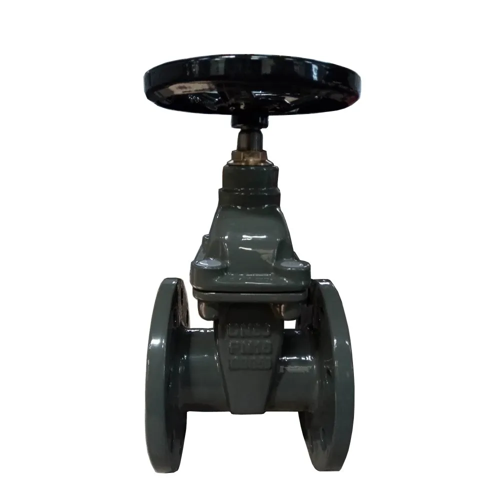 bs gate valve-4