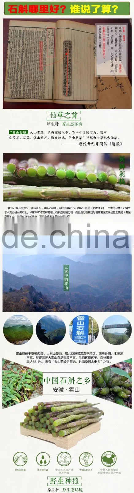 High Quality Dendrobium chrysanthum