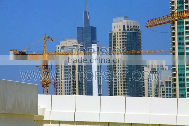 Hot Sale H25/15 Topkit Tower Crane