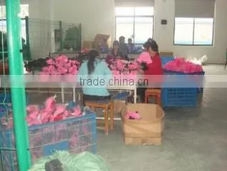 Pinghu City Xinxin Childrens Products Factory company overview - view 4