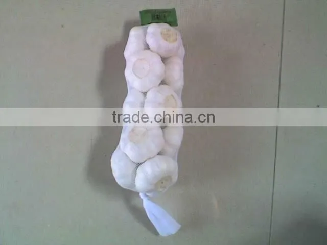 2011 china export garlic