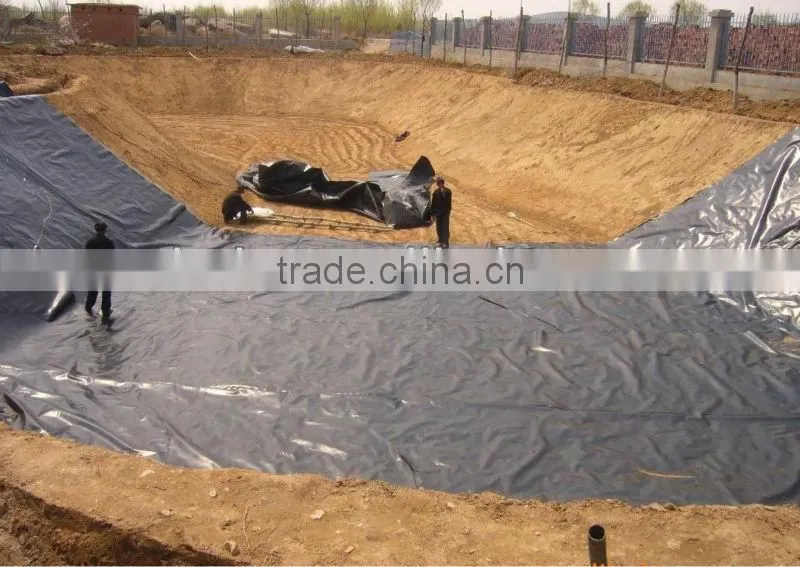 HDPE Geomembrane