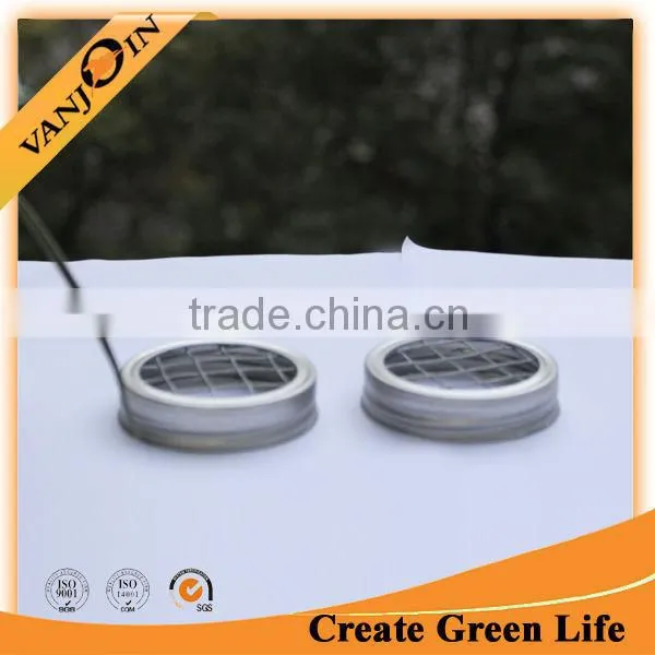 Silver Flower Vase Frog Lid