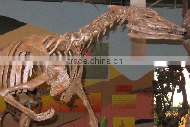 Realistic Dinosaur Skeleton Replica Of Thescelosaurus