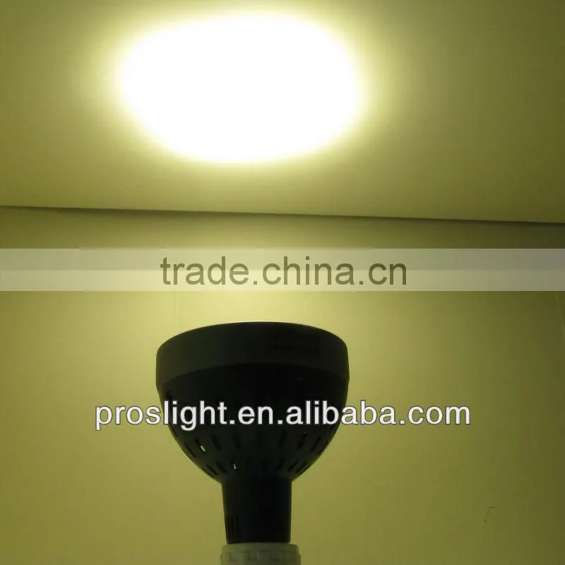 CE,RoHS par30 spotlight
