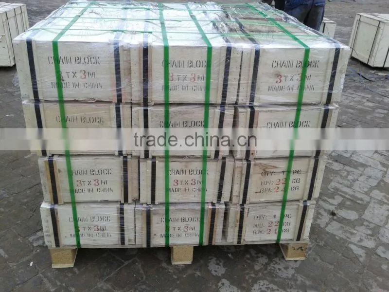1 ton Stainless Steel Chain pulley block