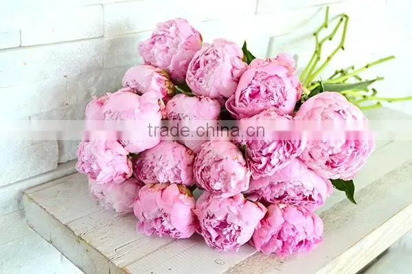 Fresh Cut Flowers Available...
