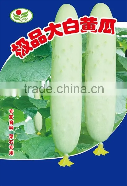 Hot sale hybrid white cucumber seeds for growing-New big white