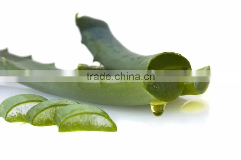 Natural Plant Extract Aloe Vera