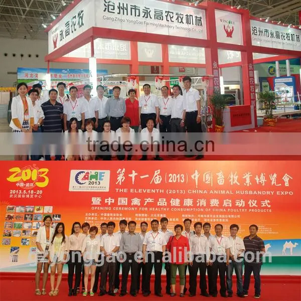 Kinds of stainless steel livestock surgical scissors