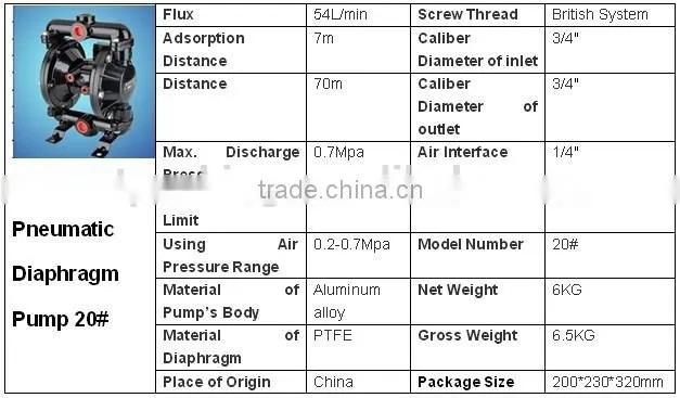 Double Diaphragm Ink Pump