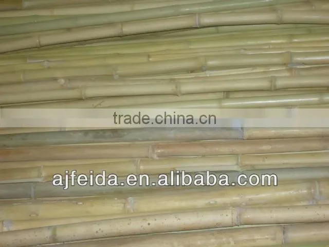 FD10 high Quality Natural Eco-Friendly Raw Bamboo Polesbamboo walking cane for sale